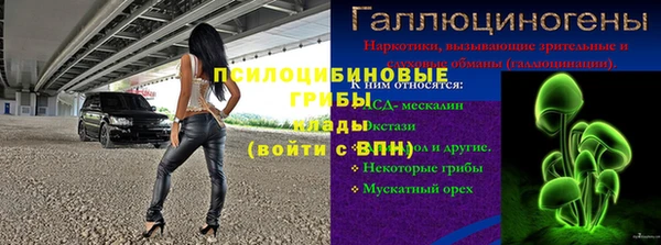 сатива Арсеньев