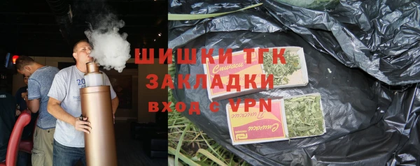 сатива Арсеньев