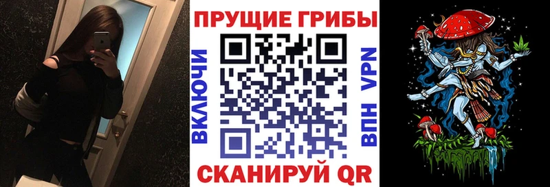 Галлюциногенные грибы мицелий  Кубинка 